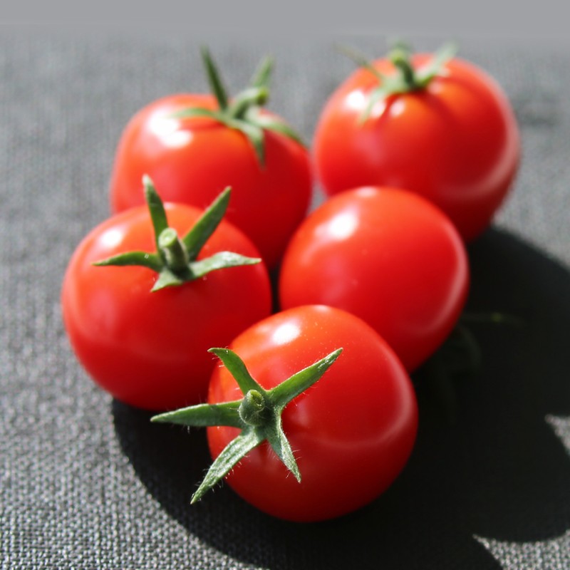 新濠天地·(中国区)官方网站