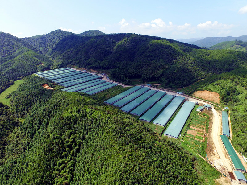 新濠天地·(中国区)官方网站