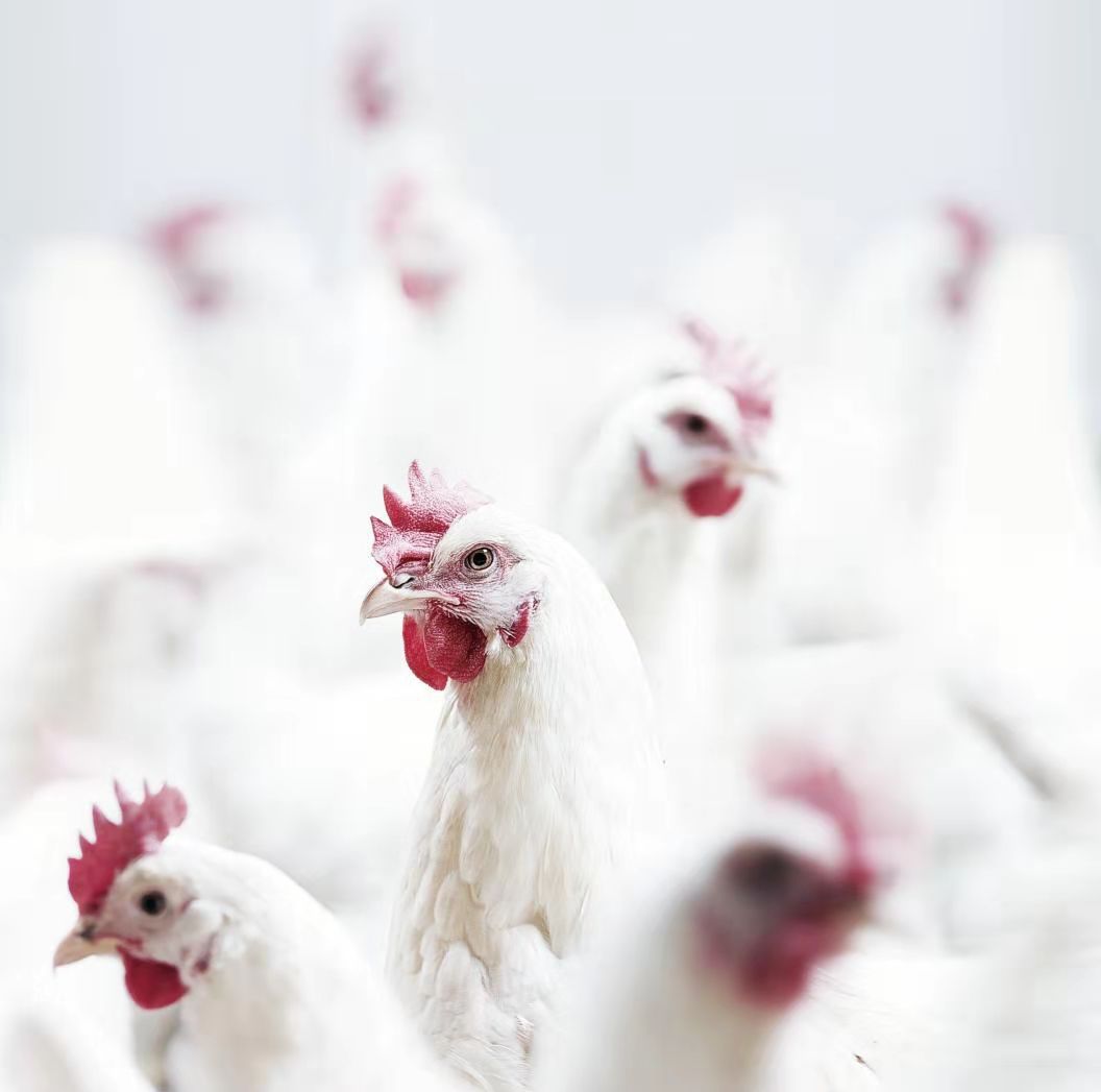 新濠天地·(中国区)官方网站