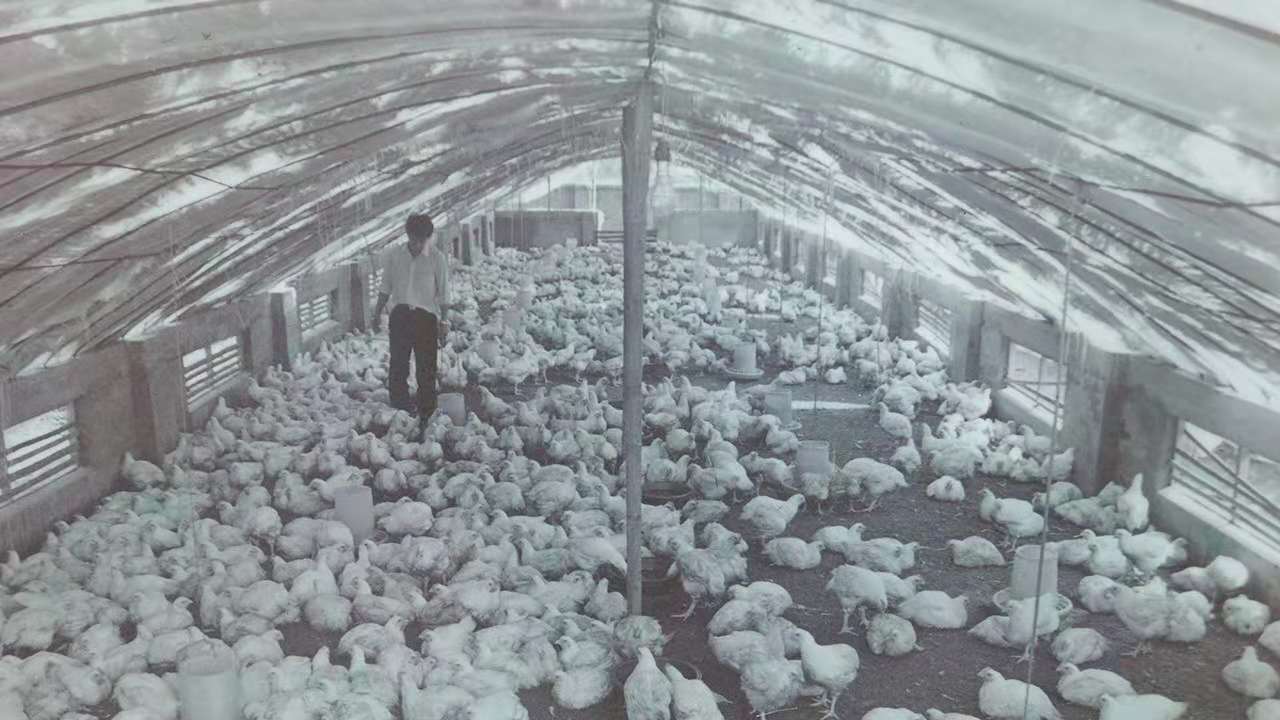 新濠天地·(中国区)官方网站