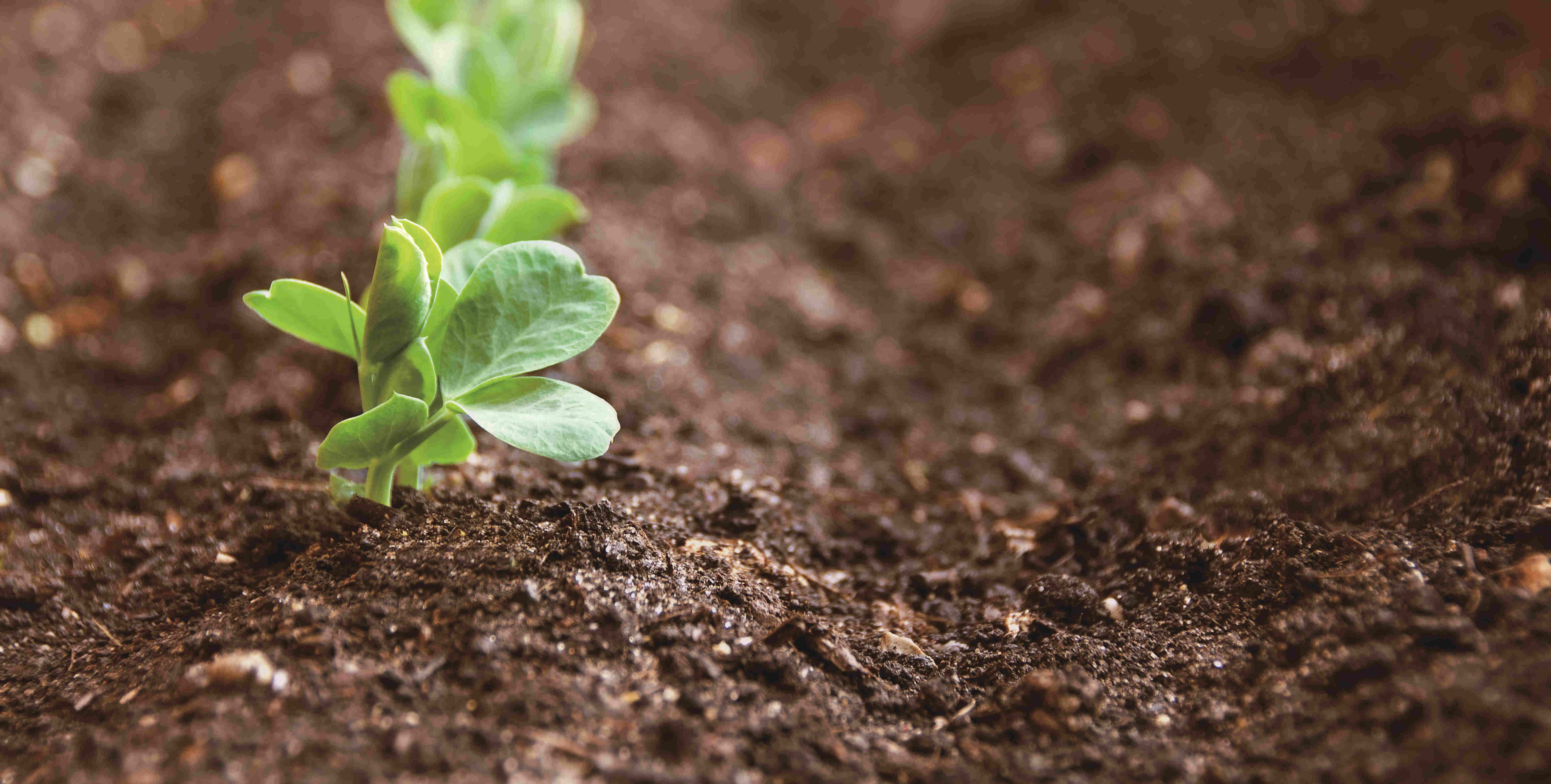 新濠天地·(中国区)官方网站