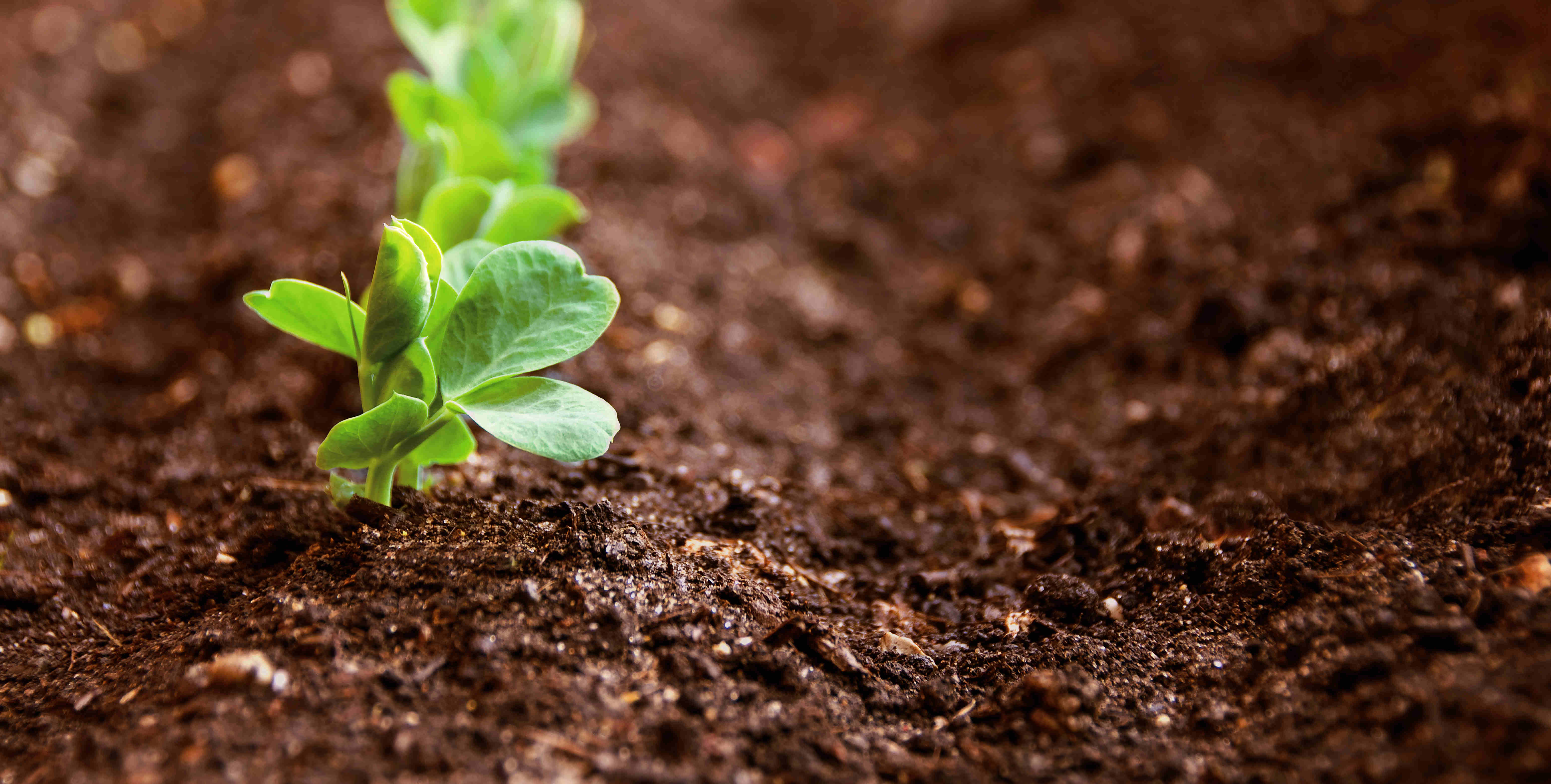 新濠天地·(中国区)官方网站