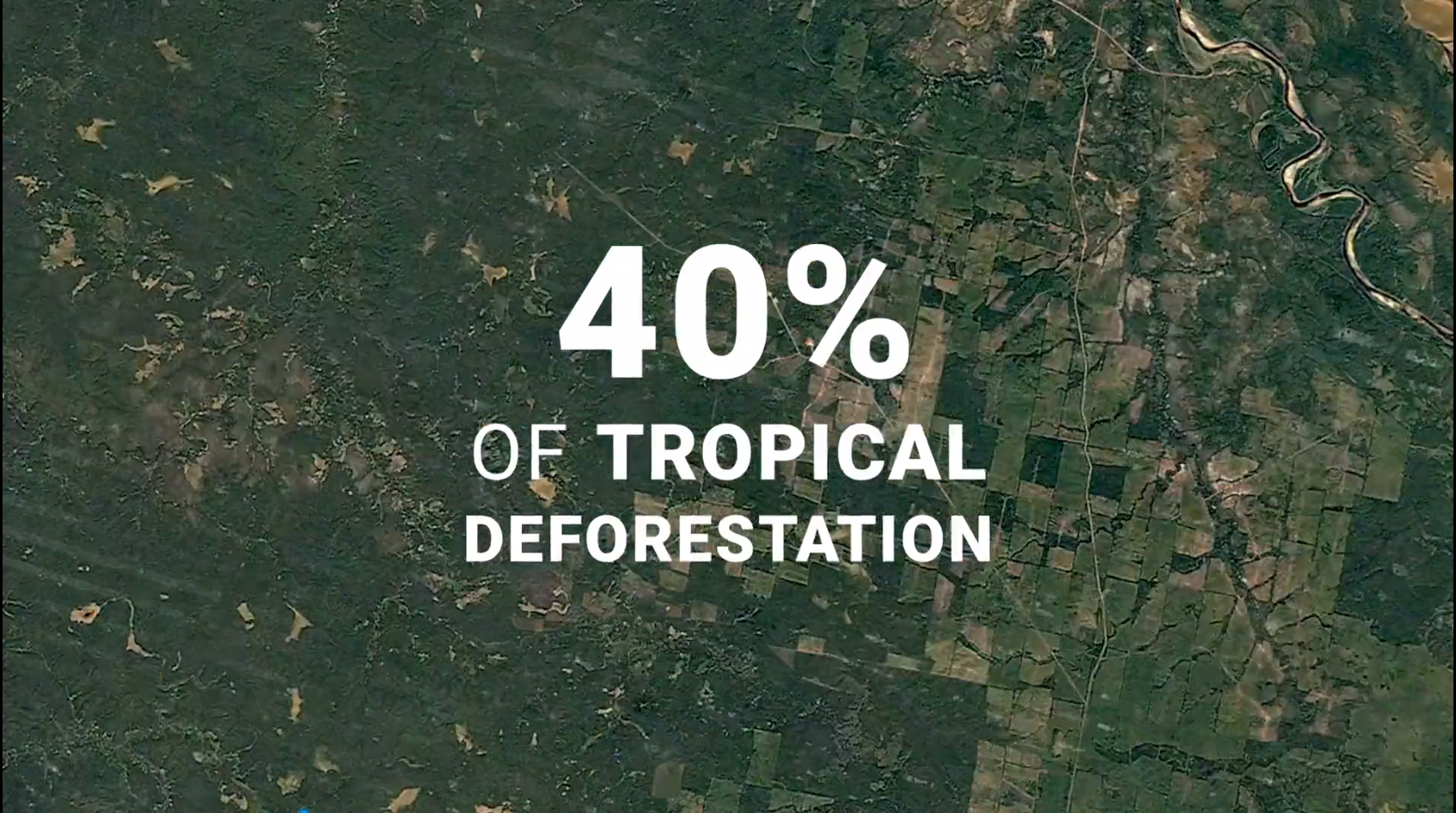 新濠天地·(中国区)官方网站