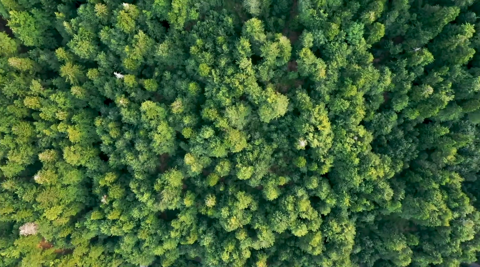 新濠天地·(中国区)官方网站